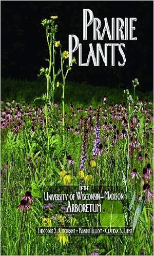 Prairie Plants Of The University Of Wisconsin Madison Arboretum Including Horsetails Ferns Rushes Sedges Grasses Shrubs Vines Weeds And Wildflowers Cochrane Theodore S Elliot Kandis Lipke Claudia S 9780978959005 Amazon Com Books