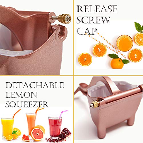 Manual Fruit Juicer With Detachable Liner Hand Press Teflon Citrus