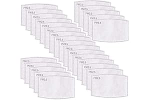 SOLODATE LAB PM 2.5 Activated Carbon Filter Insert, Replaceable Anti Haze Filter Paper (60 Pcs)