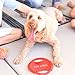 11 Piece Set Dog Puppy Chew Toys - Nearly Indestructible Toys For Dogs To Keep Them Busy and Free of Boredom - Includes Tough Long Lasting Canine Rope Toys, Bones, Rope Ball, and More