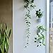PlantPod Luxe Self-Watering Wall Planters (Set of 3) - Easy to Water and Install - Lightweight - Design Your Own Vertical Garden - Wall Planters for Indoor Plants