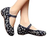 AvaCostume Womens Flower Painting Flats Mary Jane Qipao Dress Shoes, Blue 37