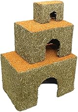 Rosewood Large Carrot Cottage Edible Toy for Small Animals view 2