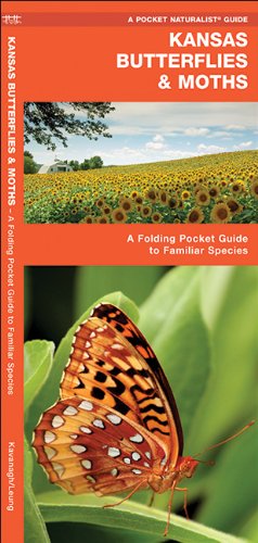 Kansas Butterflies & Moths: A Folding Pocket Guide to Familiar Species (Pocket Naturalist Guide Series)