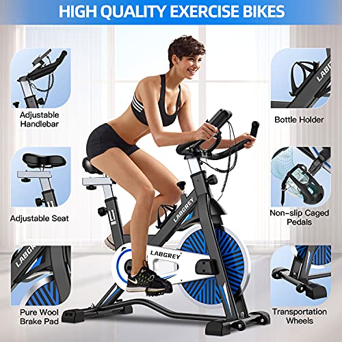 LABGREY Stationary Bike Exercise Bike Indoor Cycling Bike, Cycle Bike with Heart Rate Sensor & Comfortable Seat Cushion, Quiet Fitness Bike for Home Cardio Workout