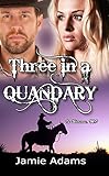 Three in a Quandary (in Warsaw, MO Book 3)