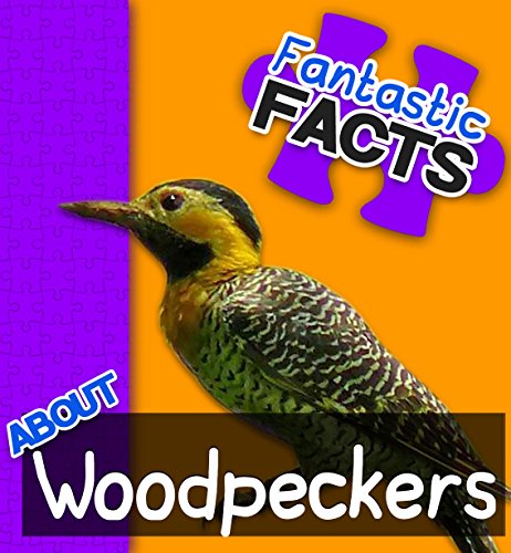 Fantastic Facts About Woodpeckers: Illustrated Fun Learning For Kids