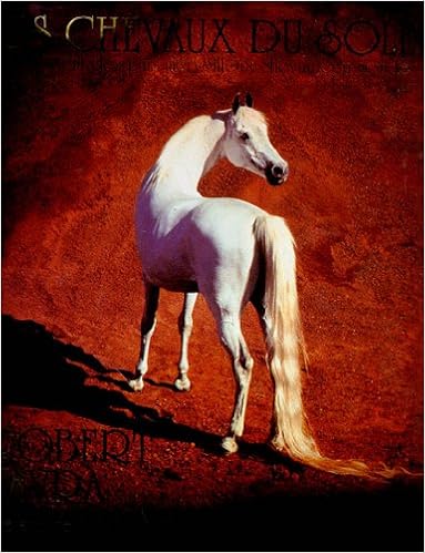 Les Chevaux Du Soleil Portrait Des Plus Merveilleux - 