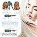 Spornette Ion Fusion Ceramic Round Brush for Blow Drying - Round Hair Brush for Blow Outs, Volume & Curling - Ion Bristles Help to Smooth Hair and Eliminate Frizz & Static (2.5 Inch)
