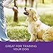 Wellness WellBars Crunchy Wheat Free Natural Dog Treats, Chicken & Cheddar, 20-Ounce Box