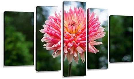 Amazon Co Jp 花 ダリア ピンク 開花 テンジクボタン キク科 多年草 木 自然 オレンジ 空 鉢植え 緑 園芸 黄色 感謝 移り気 キャンバスアート アートボード 壁掛け装飾 おしゃれ 部屋飾り インテリアパネル 絵画 ポスター 木枠付きの完成品 ホーム キッチン