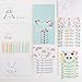 Polite Society Birthday Cards Variety Pack - 42 Pack Bulk Box Set of 4x6 Blank Happy Birthday Cards with Envelopes Included — Perfect for Adults Children and Unicorns