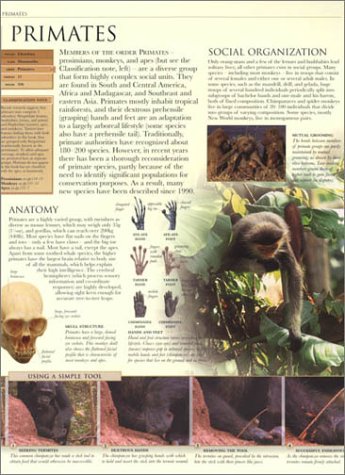 Animal: The Definitive Visual Guide to the World's Wildlife - Thumbnail 3