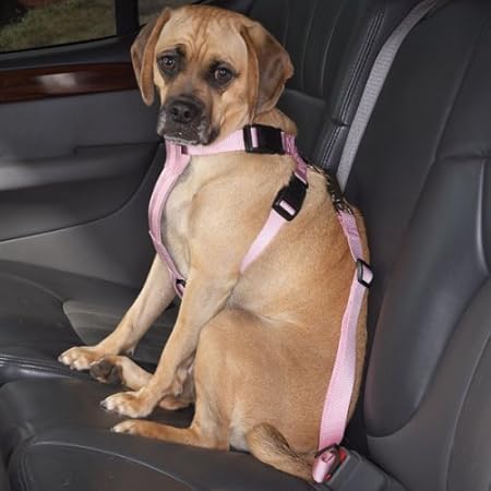 amazon dog car harness