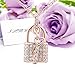 joyliveCY Women Lock & Key Gold Plated Necklace Rose Gold Chain Necklace