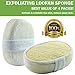 Exfoliating Loofah Bath Sponge Pads Pack Of 4 - Ultra Thick, Great For Exfoliating Shower - 100% Natural - Best Luffa Sponge And Spa Scrubber For Men And Women - Body wash sponge