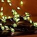 IMPRESS LIFE St. Patrick’s Day Party String Lights Decorations, 10ft 40 Led Four-Leaf Clover Shamrock, Battery & Plug In Operated, 8 Models Remote Green Fairy Lighting for Indoor Covered Outdoor