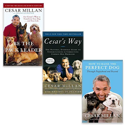Cesar Milan 3 Books Collection Set (How to Raise the Perfect Dog, Cesar ...
