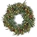 National Tree Company Pre-Lit Artificial Christmas Wreath, Green, Colonial Fir, White Lights, Decorated with Pine Cones, Berry Clusters, Christmas Collection, 24 Inches