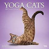 Yoga Cats - 2017 Calendar 12 x 12in