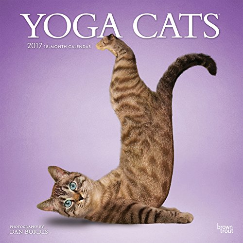 Yoga Cats - 2017 Calendar 12 x 12in