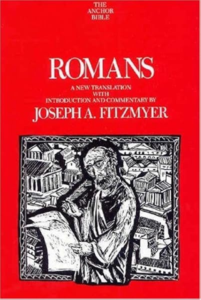 Romans Fitzmyer Joseph A 9780300140781 Amazon Com Books