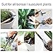 Foxany Bonsai Tools Kit 8 Pcs, Succulent Garden Tools Set, Thread Snips, Fold Scissors, Tweezers, Rake & Spades Transplanting Miniature Bonsai Trimming Set for Plants Carethumb 2