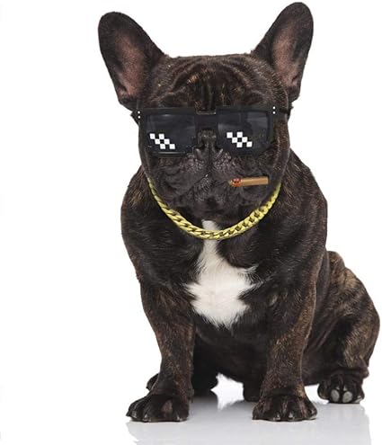 dog thug necklace