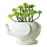 Ucoolbila Animal Ceramic Flowerpot White Porcelain Succulent Plants Flower Pot Home Decro Garden Vase Desktop Mini Ornaments (Elephent L size)