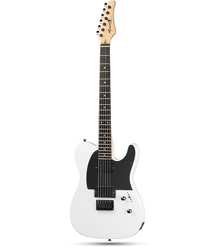 Amazon.com: Artist 134444780 Jim Root Telecaster Electric Guitar