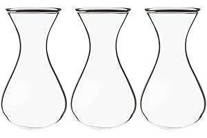 XXXFLOWER Wall Hanging Propagation Station Planters Wall Terrarium for Home Office Plant Hanger Flower Vases Accessories-3 Bulb Vase