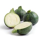 Eight Ball Squash 15 Seeds - GARDEN FRESH PACK!
