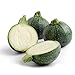 Eight Ball Squash 15 Seeds - GARDEN FRESH PACK!