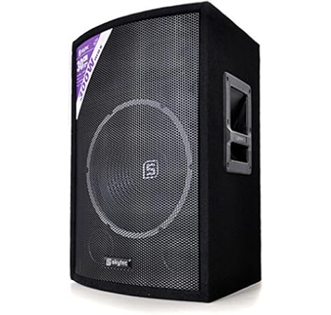 Altavoz pasivo Skytec 12 pulgadas (30cm) 600W: Amazon.es: Electrónica