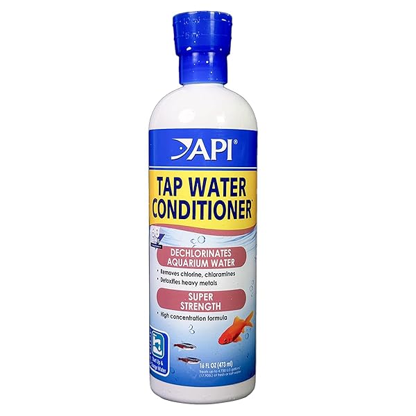 API TAP WATER CONDITIONER AQUARIUM WATER CONDITIONER 16-OUNCE BOTTLE
