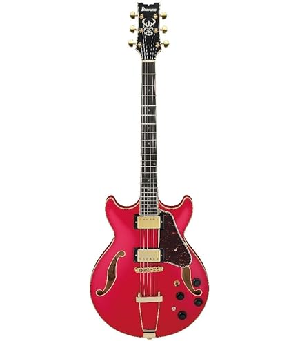 Amazon.com: Ibanez Artcore Expressionist AMH90 Hollowbody