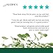 AUBREY Chia Hair Gel | Strong Hold Styling & Sculpting Gel | Organic Ingredients, Vitamin B-5 & Quinoa | Vegan, No Gluten or Silicone | 8 FL oz