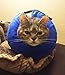 Inflatable Recovery Collar for Dogs and Cats-Comfortable Soft Pet E-Collar Does Not Block Vision Medical Postoperative Wound Healing Cone Blue