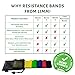 Limm Resistance Bands Exercise Loops - 12-inch Premium Workout Bands for Physical Therapy, Rehab, Stretching, Home Fitness, Yoga and More - Bonus EBooks, Instruction Manual, Online Videos & Carry Bag