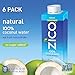 Zico 100% Coconut Water Drink - 24 Pack, Natural Flavored - No Sugar Added, Gluten-Free - 250ml / 8.45 Fl Oz - Supports Hydration with Five Naturally Occurring Electrolytes - Not from Concentrate