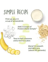 Vega Protein Made Simple