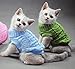 Pet Cat Sweater Kitten Clothes for Cats Small Dogs,Turtleneck Cat Clothes Pullover Soft Warm,fit Kitty,Chihuahua,Teddy,Poodle,Pug (Green, X-Small)