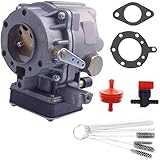Dosens Carburetor Compatible for Briggs and