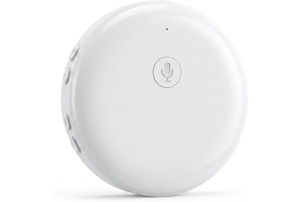 165-Language Wearable Real-Time Translator