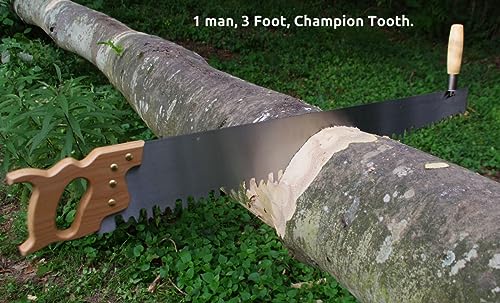 Lynx 3 foot, One Man Crosscut Saw (Champion Tooth) - Made In photo 6