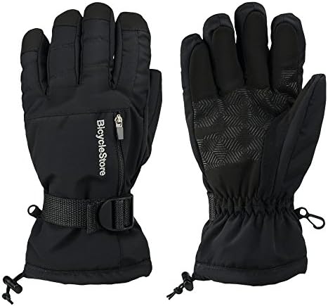 BicycleStore Men's Skiing Gloves Waterproof Windproof Thermal Warm Snow Snowboarding Snowmobile Gloves With Small Pocket Black (Large, Black)