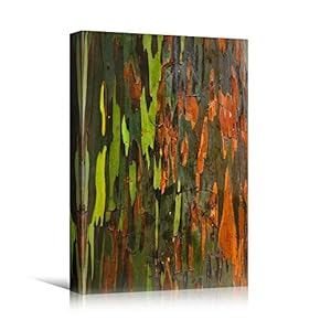 signwin Canvas Wall Art Brushstroke Patterns Abstract Colorful...