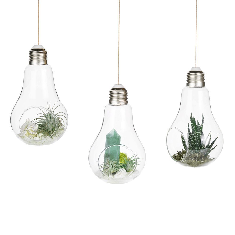 Mkouo 3 Pack Light Bulb Hanging Vase Glass Planter Terrarium Air Plant Pot Succulent Container