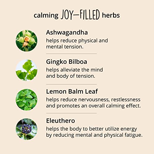 JoyFilled Mood Support Supplement with St. Johns Wort Capsules Helps