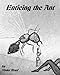Enticing the Ant (Insect Erotica)